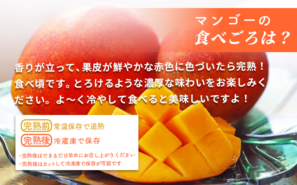 沖縄県産 訳ありマンゴー 2kg【 先行予約 2027年発送 】マンゴー 濃厚 甘い ジューシー 南国 フルーツ 果物 産地直送 訳あり 国産 お取り寄せ 沖縄 うるま市