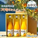 【ふるさと納税】【お中元】＜愛媛県明浜産 天晴みかんジュース 720ml×3本セット＞蜜柑 果物 ミカン オレンジ フルーツ 天晴農園 飲料 ドリンク 飲み物 飲んで応援 特産品 ギフト 贈り物 プレゼント 御中元 愛媛県 西予市 【常温】『ご希望の配送時期をお選びください』