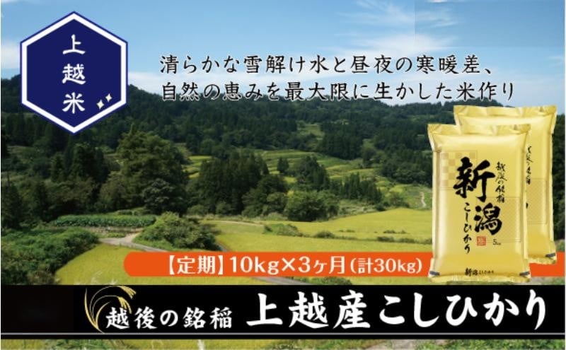 
            令和7年産 新潟県上越産こしひかり 精米 10kg 3か月定期便 上越市 米 コメ コシヒカリ
          