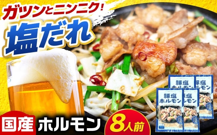 
            岐阜県産豚もつの鉄板焼き「元祖みたけとんちゃん」豚塩味（8人前） / モツ もつ 白もつ ホルモン / 御嵩町 / 藤よし [AVAA039]
          