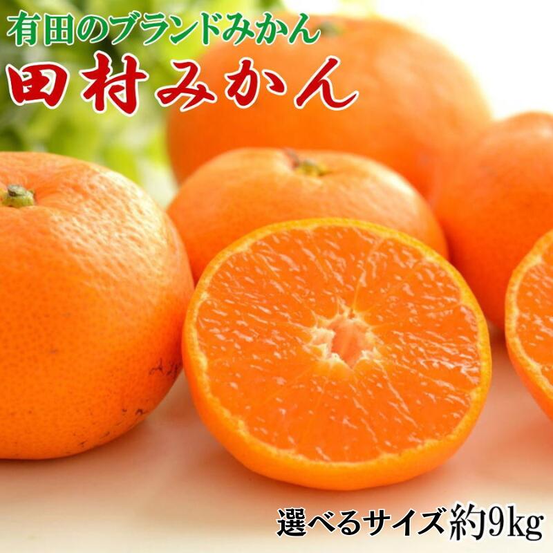【ふるさと納税】 みかん 【ブランドみかん】田村みかん 約9kg 【選べるサイズ】 2Lサイズ 3Lサイズ【2025年11月下旬～2025年12月下旬頃より順次発送】 / 果物 フルーツ 柑橘 オレンジ 和歌山 有田 有田みかん