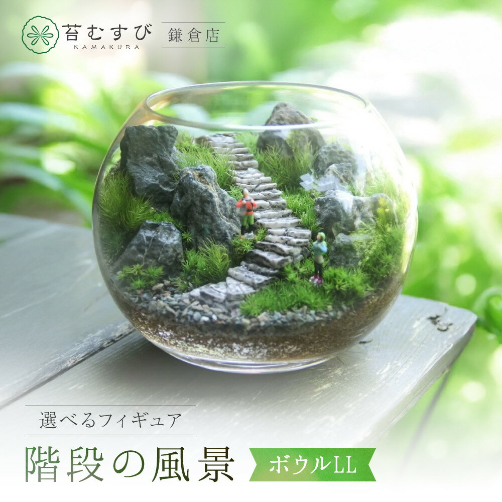 【ふるさと納税】《苔テラリウム・コケリウム》階段の風景 ボウルLL | 鎌倉市 苔むすび合同会社 苔 インテリアグリーン 自然派 室内植物 癒やし グリーンライフ お取り寄せ ふるさと納税 人気　おすすめ　送料無料