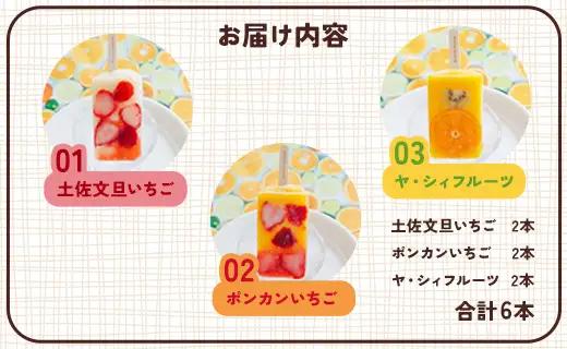【２回定期便】手作りアイスキャンデー ６本セット Wys-0025