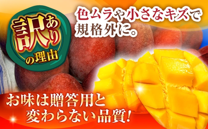 沖縄県産 完熟マンゴー 訳アリ 2kg (3～5玉) マンゴー 沖縄 果物 フルーツ ギフト 家庭用 訳あり まんごー