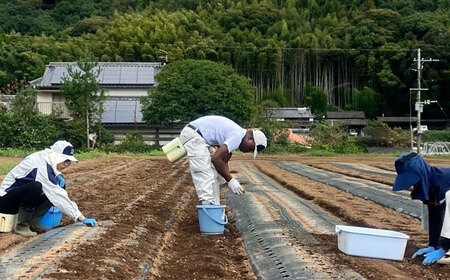 しらさぎファームの 黒にんにく 400g / にんにく ニンニク 国産 くろにんにく 200g×2パック 400g 免疫力 疲労回復 1日1粒 熊本県 菊陽町【白鷺電気工業株式会社】[BHBE001]