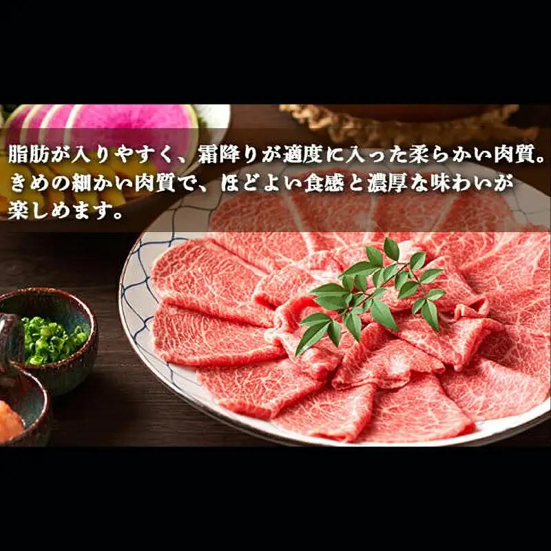 土佐あかうし 和牛クラシタ／しゃぶしゃぶ用 500g | あか牛 赤身 旨味 希少 幻 贈り物 ギフト 高知県 南国市