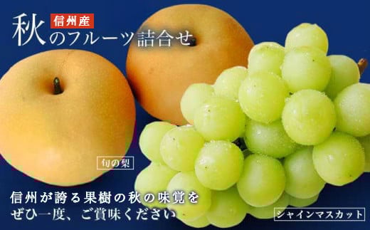 シャインマスカット1房と梨2玉 詰め合わせ ［小布施屋］果物 詰合せ セット フルーツ ぶどう なし シャインマスカット 先行予約 期間限定 冷蔵便 クール便 数量限定 長野県産 信州産 令和8年産 