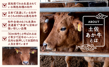 希少あかうし 土佐あかうし ハンバーグ 2.0kg 2kg 200g × 10個 合い挽きハンバーグ 冷凍 真空 小分け 個包装 肉汁 たっぷり 大容量 大きめ 合挽き 牛肉 豚肉 保存料 不使用 ビ