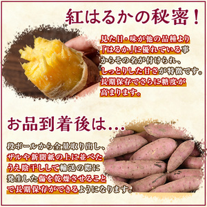 さつまいも 紅はるか 10kg 通常サイズ【そのやま農園】_y329-A