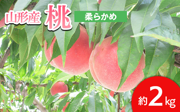 
                  山形の桃 [柔らかめ] 約2kg(4～9玉) 【令和9年産先行予約】FS24-661 くだもの 果物 フルーツ 山形 山形県 山形市 2027年産
                