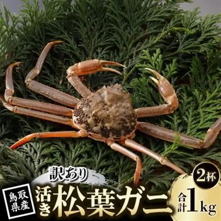 【先行予約】鳥取県産 訳あり 活 松葉がに 500g×2杯(中村商店)26年12月・27年1月発送【配送不可地域：離島・北海道・沖縄県・東北・信越、北陸】【1692747】