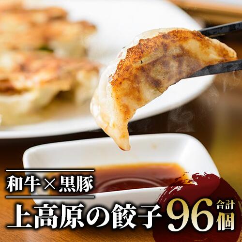 【ふるさと納税】和牛×黒豚使用！上高原の餃子 96個セット(96個/32個×3P)｜ジューシーな極上肉餃子 餃子 ぎょうざ ギョウザ 和牛餃子 黒豚餃子 おいしい餃子 お取り寄せ おすすめ 焼き餃子 揚げ餃子 水餃子 人気 冷凍 国産 惣菜 【肉の上高原】