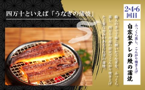 【6回定期便】うなぎの蒲焼と鰹のタタキの月替わり定期便