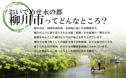 【合計420枚】 福岡有明海苔　味海苔 卓上ボトル 味のり セット海苔 10切70枚×6本セット海苔 のり お弁当 お米にあう おにぎり 弁当 NORI nori 有明海産 味海苔 美味しい海苔 のり