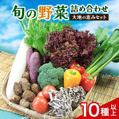 ふるさと納税 芝山町 旬野菜の詰め合わせ　「大地の恵みセット」　10種以上