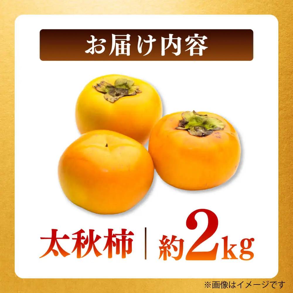 【先行予約】太秋柿 約2kg 柿 カキ フルーツ 果物 秋 【日本フルーツ株式会社】 [ZFJ021]