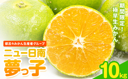 果物 フルーツ みかん 極早生みかん ニュー日南「夢っ子」 約10kg 都呂々みかん生産者グループ《9月中旬-10月上旬頃出荷》 ミカン 蜜柑 柑橘 生産者直送 産地直送 天草 送料無料 熊本県 苓北町