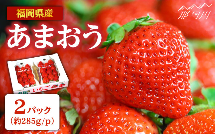 【2026年2月より発送】先行予約！『自然環境農法』で育てた福岡県産 あまおう 約285g×2パック＜おおきべりー株式会社＞那珂川市 [GZE001]