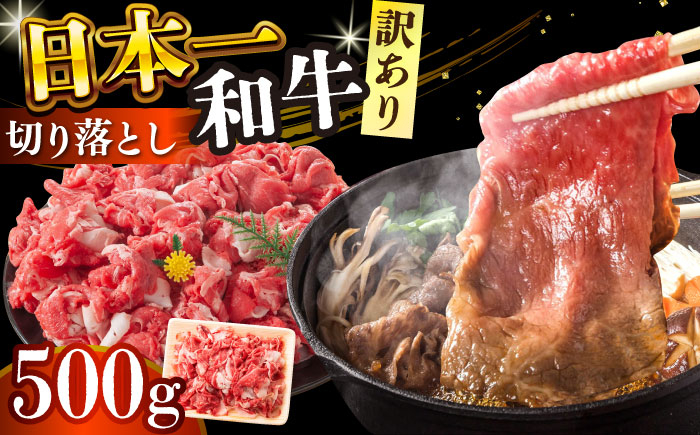 
            【訳あり】 長崎和牛焼肉切り落とし(肩ロース・バラ） 500g 【A4～A5】【株式会社 MEAT PLUS】 [DBS003]長崎和牛 和牛 国産 牛肉  長崎和牛 焼肉 切り落とし 肩ロース バラ 500g 訳アリ 訳あり 15000円以内 11000 円 以上 
          