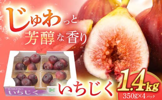 【先行受付】いちじく 約300g×4パック【田崎FARM】[OCU004] / いちじく 無花果 イチジク 長崎県産いちじく 川棚町産無花果 肉厚イチジク いちじく ふるーつ フルーツ 果物 くだもの いちじく