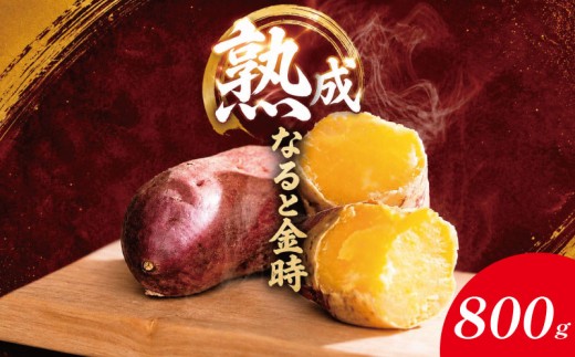 なると金時 800g Sサイズ 【10月から5月末まで発送】 野菜 さつまいも 焼き芋 芋 鳴門金時 なると金時 ヤサイ やさい 食材 新鮮 旬 産地直送 徳島 鳴門