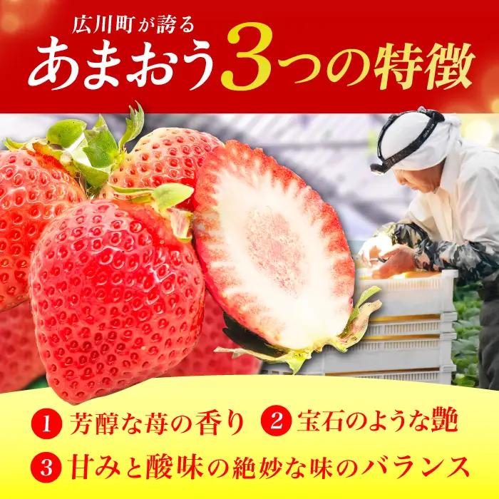 【3回定期便】いちご（あまおう）3ケース / いちご 苺 イチゴ[AFAB082]