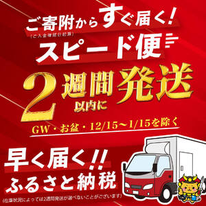 【入金確認後、2週間以内に発送】＜A4・A5等級＞鹿児島県産黒毛和牛100%使用極上ハンバーグ計300g(150g×2個) 黒毛和牛 和牛 ハンバーグ 冷凍ハンバーグ 肉 牛肉 国産 九州産 鹿児島県
