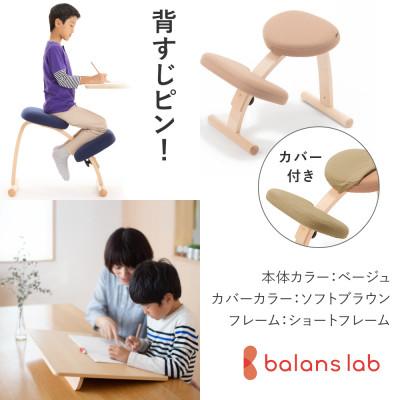 ふるさと納税 美濃市 バランスイージー ショート[ベージュ]カバー付+イージーライティングボードL【複数個口で配送】