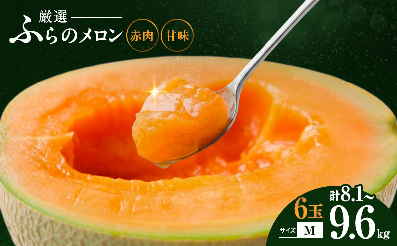 【令和8年産】ふらの 赤肉メロン 厳選 甘味 Mサイズ 1.35kg～1.6kg 6玉 セット ファーム富良野 メロン めろん 富良野メロン 果物 くだもの フルーツ 富良野 デザート 北海道 先行受
