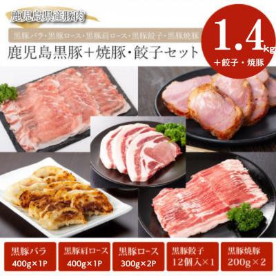 ふるさと納税 鹿屋市 鹿児島黒豚 焼豚 餃子 セット 【和田養豚】 51026