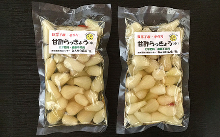 【みんなの広場・風】手作り甘酢らっきょう160g×2袋セット【福祉施設提供】