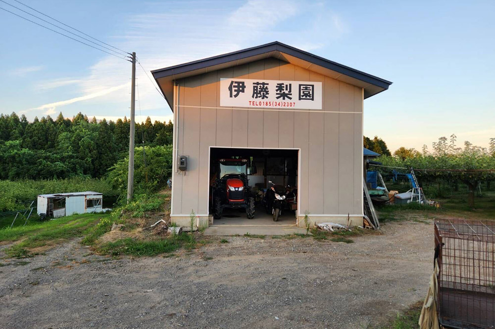【先行受付】男鹿梨 「伊藤梨園」の南水 梨 約5kg 秋田県 男鹿市 旬の果物 2025年10月中旬以降出荷