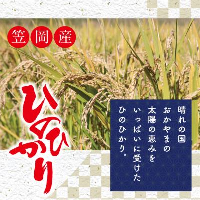 ふるさと納税 笠岡市 【令和7年産 先行受付】無洗米  ひのひかり 笠岡産 30kg 太陽の恵み O-07_30k_無洗米 |  | 02