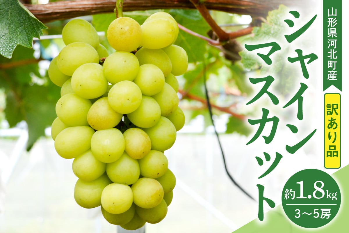 
            【訳あり 令和7年産】 ぶどう シャインマスカット 約1.8kg(3～5房) 山形県河北町産【山形eLab】ka074-021
          