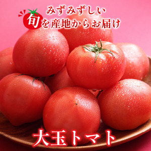 大玉 トマト 2kg 【徳島県産】| トマト