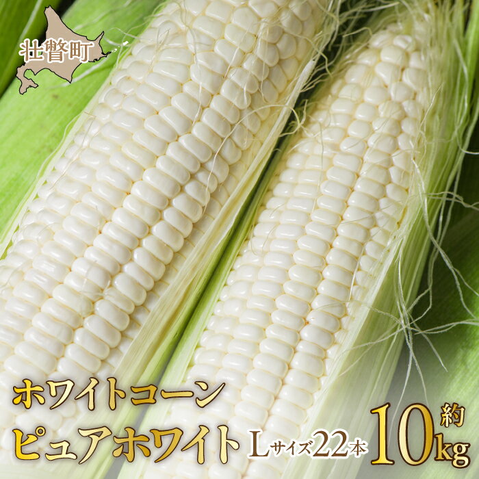 【ふるさと納税】＜2025年8月中旬よりお届け＞【朝採り】北海道壮瞥町　ホワイトコーン「ピュアホワイト」Lサイズ以上22本（約10kg） ふるさと納税 人気 おすすめ ランキング ピュアホワイト 白い 白 トウモロコシ とうもろこし 野菜 甘い 北海道 壮瞥町 送料無料 SBTQ002