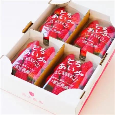 『葛生農場』新鮮!!栃木の新品種　『とちあいか』(260g×4パック)_いちご 苺 フルーツ 果物 くだもの とちあいか 栃木 新品種 人気 おすすめ 送料無料 ギフト 贈答 4パック_【配送不可地域