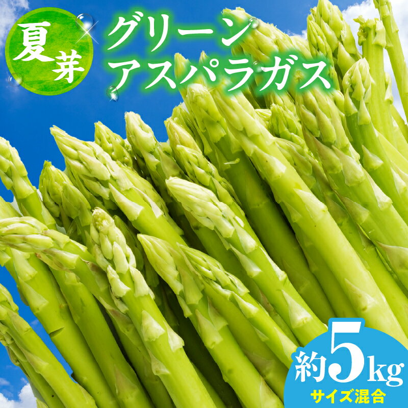 【ふるさと納税】【夏芽】グリーンアスパラガス　サイズ混合約5kg グリーンアスパラガス アスパラガス 夏芽 おすすめ 混合 シャキシャキ 野菜 冷蔵 新鮮 新鮮野菜 香川県 国産 三木町 おすすめ