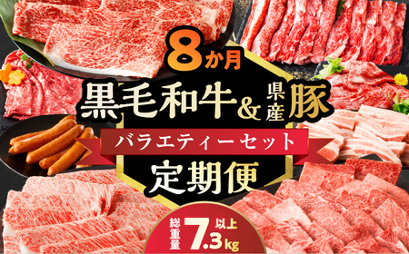 ≪8か月定期便≫黒毛和牛＆県産豚バラエティーセット(総重量7.3kg以上) 肉 牛 牛肉 おかず 国産_T030-145