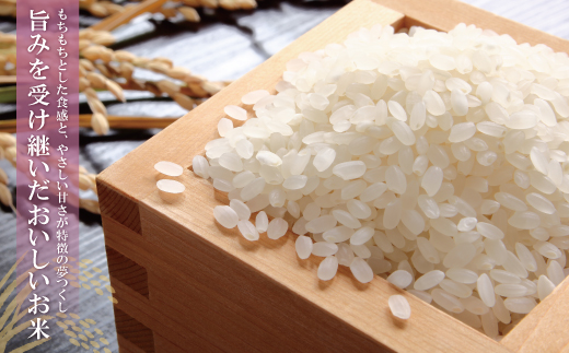 【新米】令和7年産 研ぐお米 夢つくし10kg 米 コメ 10kg 箱入り 5kg×2 夢つくし 10キロ 福岡 夢つくし ゆめつくし 手軽 リピート 日時指定 ギフト お中元 お歳暮 コスパ 福岡県