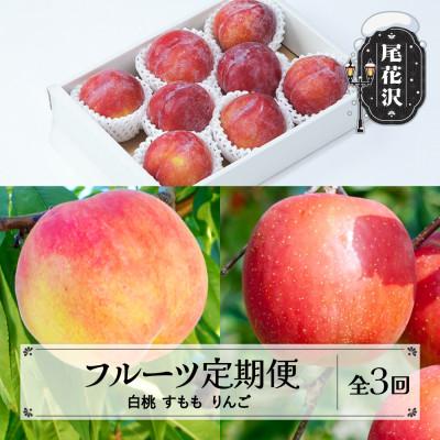 ふるさと納税 尾花沢市 【発送月固定定期便】2026年産 山形 フルーツ定期便 白桃 すもも りんご全3回