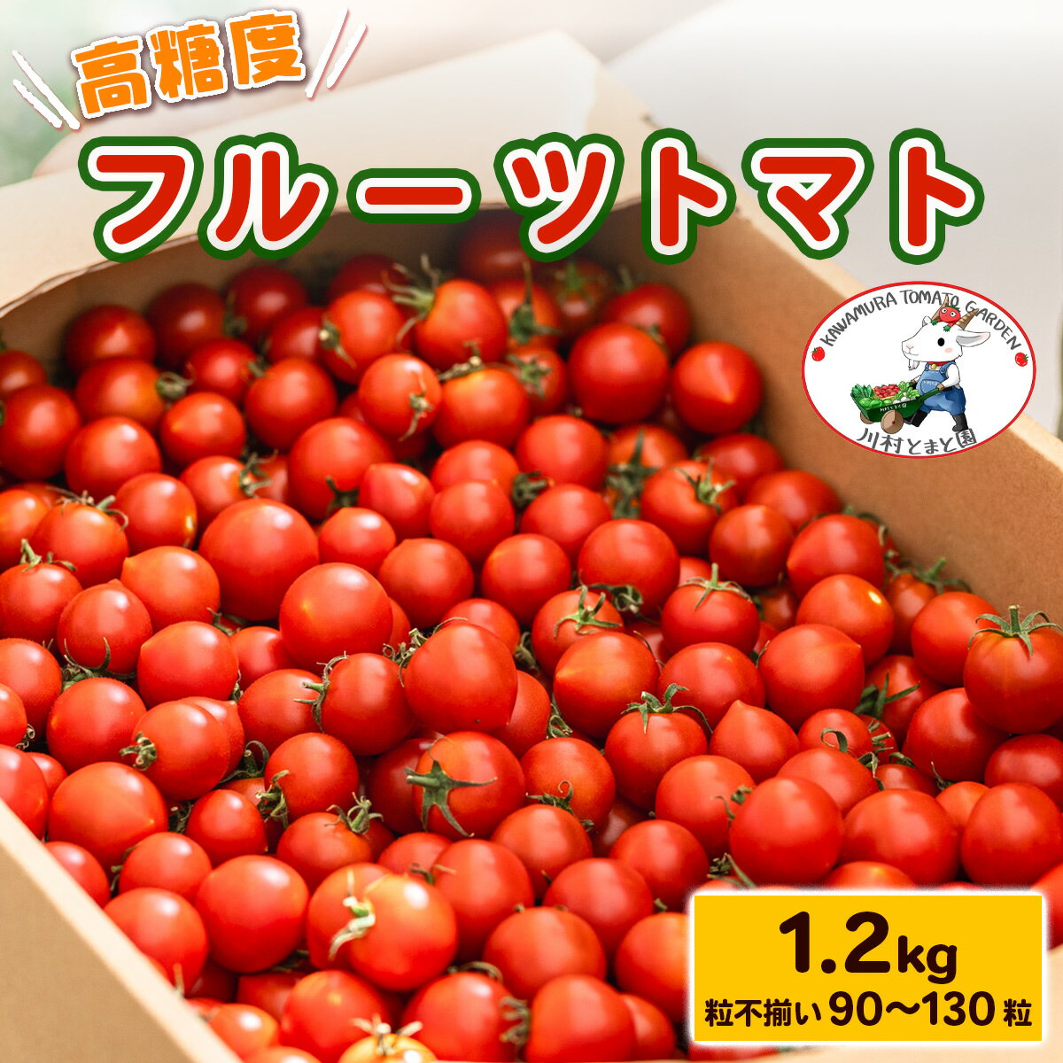 【ふるさと納税】高糖度《フルーツトマト》1.2kg (粒不揃い90粒から130粒) トマト好きさんも唸る美味しさ！｜甘い ミニトマト プチトマト 野菜 サラダ 産地直送 房総 千葉 袖ケ浦 [0650r]