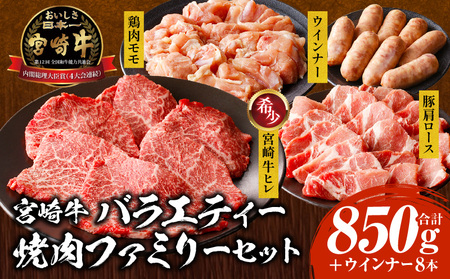 宮崎牛 バラエティー焼肉ファミリーセット_M243-038 牛肉 豚肉 鶏肉