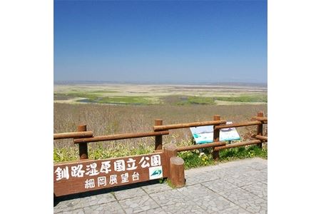 観光タクシー　釧路町側からみる釧路湿原【2時間コース】利用券1枚(定員4名分)【1085246】