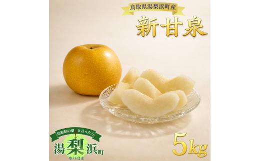 1M.新甘泉5kg