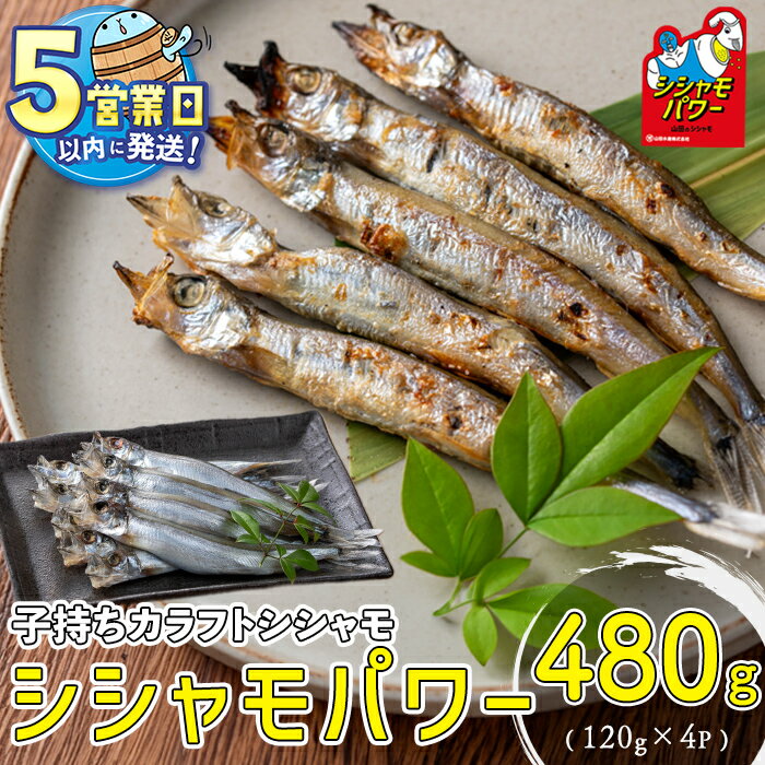 【ふるさと納税】＜すぐ届く！＞山田のシシャモパワー 計480g(120g×4P) 子持ちからふとししゃも 子持ち ししゃも シシャモ シシャモパワー 魚介 メス 卵 冷凍 小分け 鹿児島県 垂水市【山田水産】W-1802
