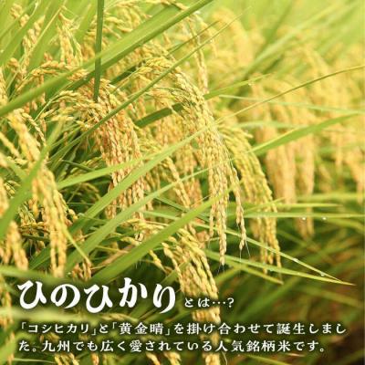 ふるさと納税 糸島市 糸島産 ひのひかり 5kg 糸島市/三島商店[AIM003] |  | 01