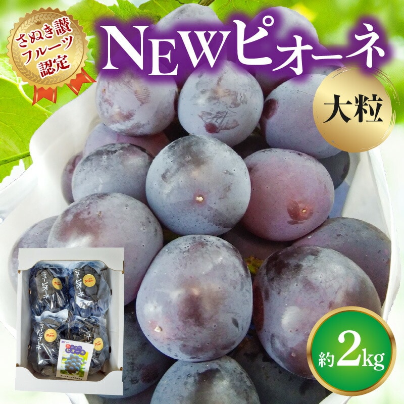 【ふるさと納税】【8月1日から】【さぬき讃フルーツ】NEWピオーネぶどう 大粒約2kg