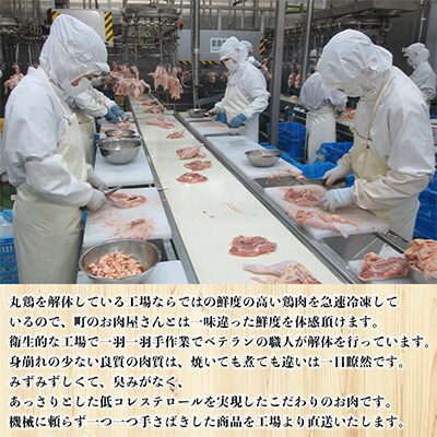 浜千鶏セット・浜千鶏焼き鳥セット【F29−3】【複数個口で配送】【配送不可地域：離島】【4011838】