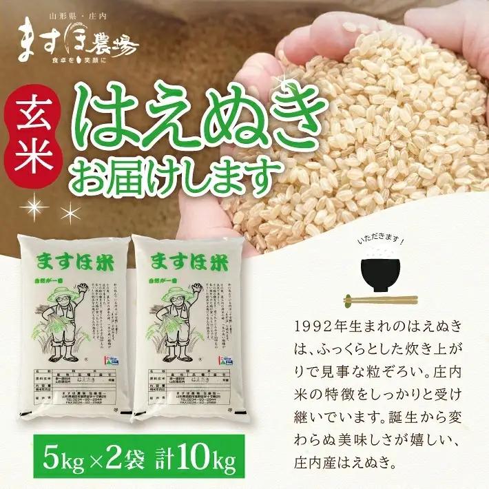 SB1013　11月中旬配送／令和8年産【玄米】　特別栽培米『はえぬき』 10kg(5kg×2袋)［減農薬・減化学肥料］ MA